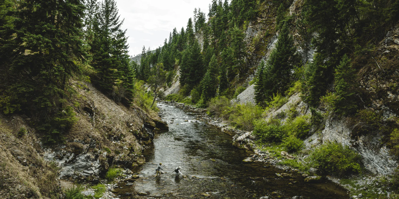 Master the Art of Fly Fishing